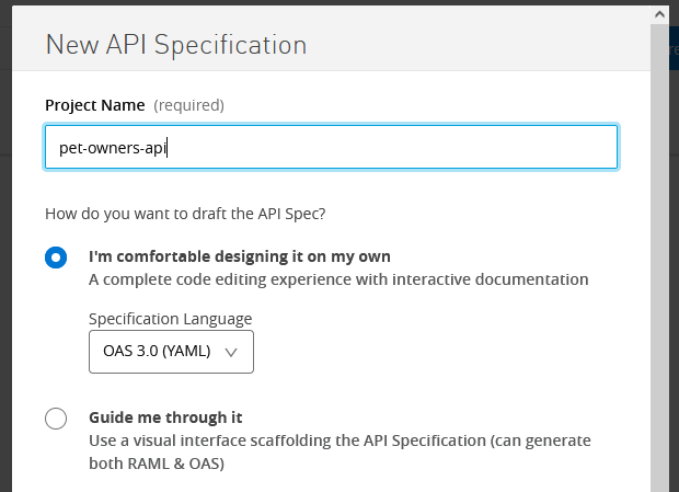 Create new API specification project in Anypoint Design Center.